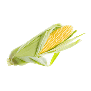 Organic Corn