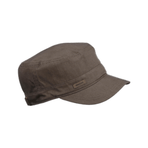 Vivamus maximus purus